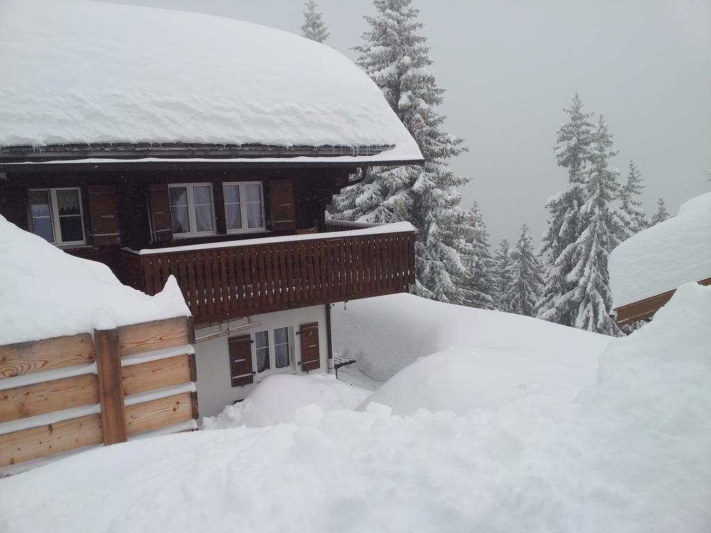 Chalet Grazia Riederalp Exterior photo